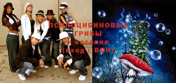 МДПВ Белокуриха
