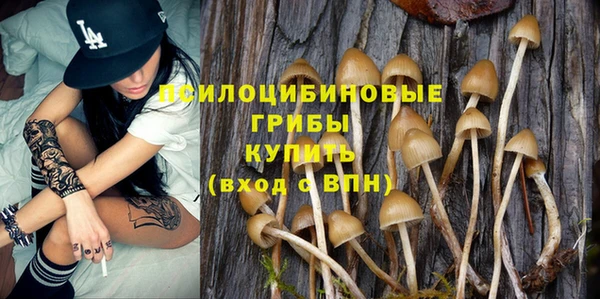 МДПВ Белокуриха