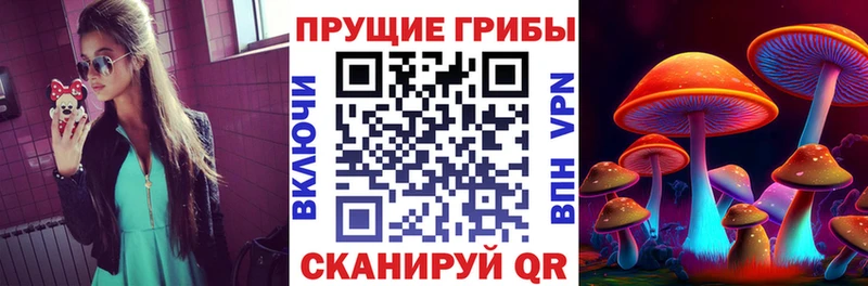 Псилоцибиновые грибы прущие грибы  Купить где  Гудермес 