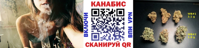 Купить где  Гудермес  Бошки марихуана THC 21% 
